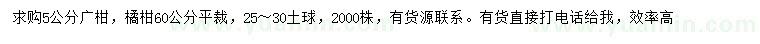 求購5公分廣柑、60公分橘柑