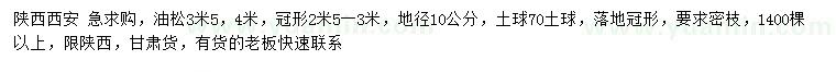 求購地徑10公分油松