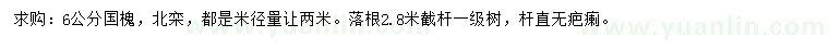 求購(gòu)米徑6公分國(guó)槐、北欒