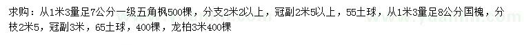 求購(gòu)五角楓、國(guó)槐、龍柏