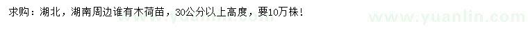 求購高30公分以上木荷苗