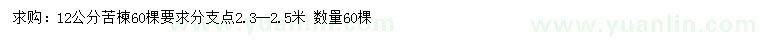 求購12公分苦楝