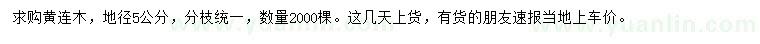 求購(gòu)地徑5公分黃連木