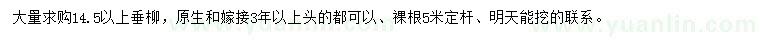求購14.5公分以上垂柳