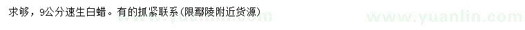 求購9公分速生白蠟