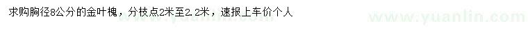 求購(gòu)胸徑8公分金葉槐