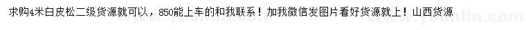 求購4米白皮松