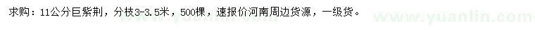 求購11公分巨紫荊