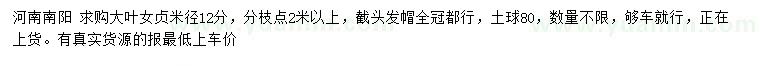 求購米徑12公分大葉女貞