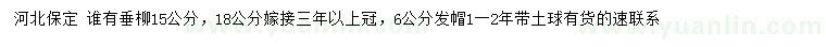 求購6、15、18公分垂柳
