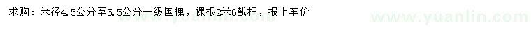 求購(gòu)米徑4.5-5.5公分國(guó)槐