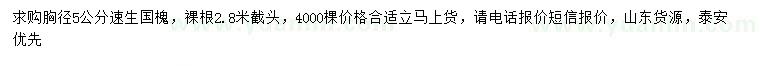 求購胸徑5公分速生國槐
