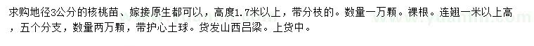 求購地徑3公分核桃苗
