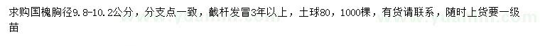 求購(gòu)胸徑9.8-10.2公分國(guó)槐