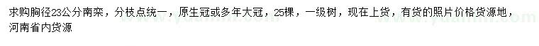 求購胸徑23公分南欒