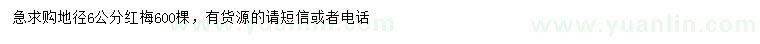 求購(gòu)地徑6公分紅梅