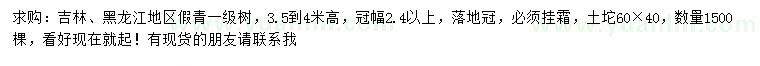 求購冠幅2.4米以上假青