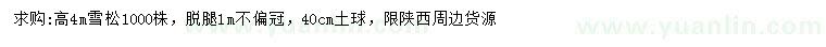 求購(gòu)高4米雪松