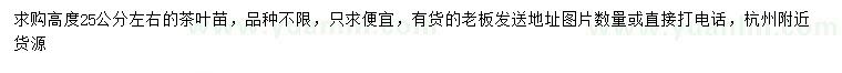 求購(gòu)高度25公分左右茶葉苗
