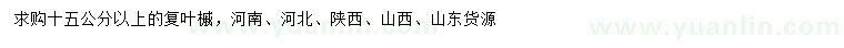 求購15公分以上復葉槭