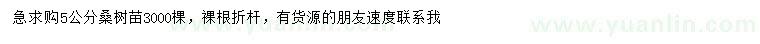 求購5公分桑樹苗