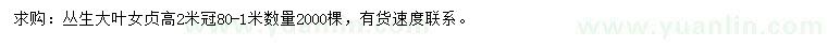 求購(gòu)高2米叢生大葉女貞