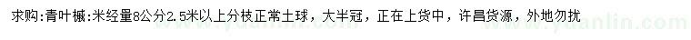 求購米徑量8公分青葉槭