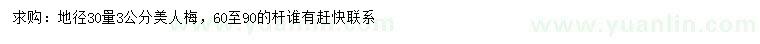 求購(gòu)地徑30量3公分美人梅