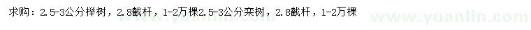 求購(gòu)2.5-3公分櫸樹(shù)、欒樹(shù)