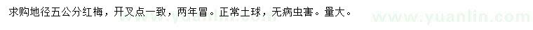 求購地徑5公分紅梅