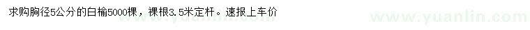 求購胸徑5公分白榆