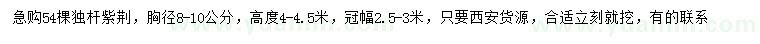 求購胸徑8-10公分獨桿紫荊