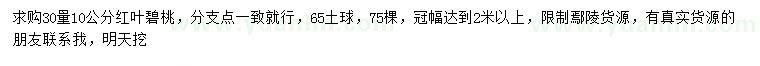求購30量10公分紅葉碧桃