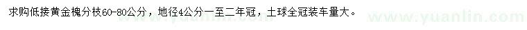 求購地徑4公分黃金槐