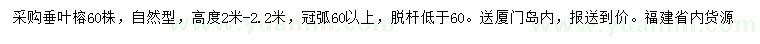 求購高度2-2.2米垂葉榕