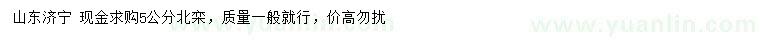 求購(gòu)5公分北欒