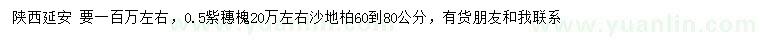 求購0.5公分紫穗槐、60-80公分沙地柏