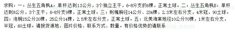 求購叢生五角楓、刺槐、泡桐等