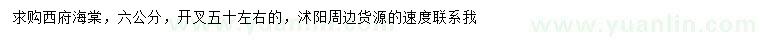 求購6公分西府海棠