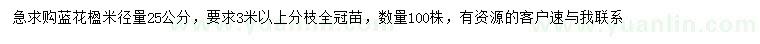 求購米徑25公分藍花楹