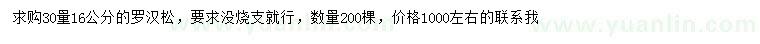 求購30量16公分羅漢松