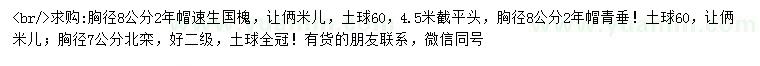 求購(gòu)速生國(guó)槐、青垂、北欒