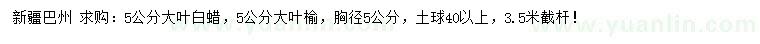 求購(gòu)胸徑5公分大葉白蠟、大葉榆