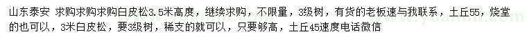 求購高度3、3.5米白皮松