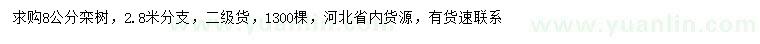 求購8公分欒樹
