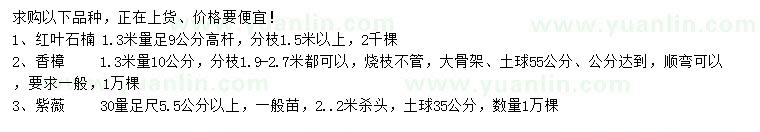 求購(gòu)高桿紅葉石楠、香樟、紫薇