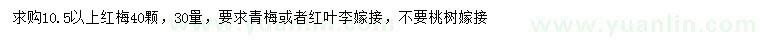 求購10.5公分以上紅梅