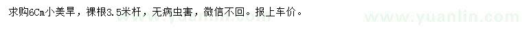 求購(gòu)6公分小美旱