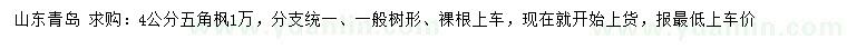 求購(gòu)4公分五角楓