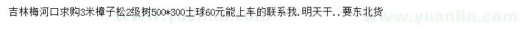 求購3米樟子松